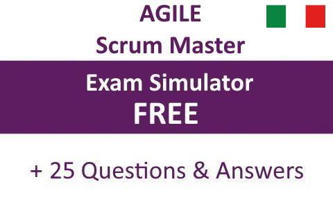 Scrum Master | IT Sample