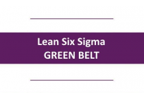 LSS Green Belt