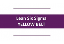 LSS Yellow Belt
