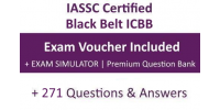 LSS Black Belt | Mock Exam